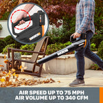Load image into Gallery viewer, 20V 12‘’ Cordless String Trimmer & 360 CFM Leaf Blower Combo, 2 × 4.0 Ah Batteries & Charger Included, WG930.3